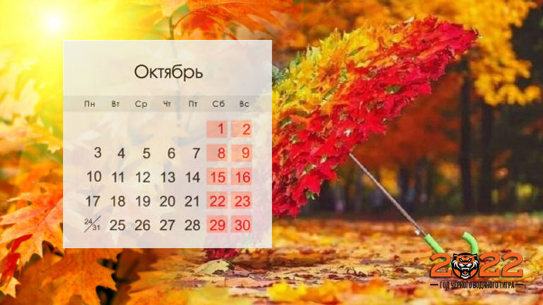 Интернет казино с высоким рейтингом - бездепозитные.