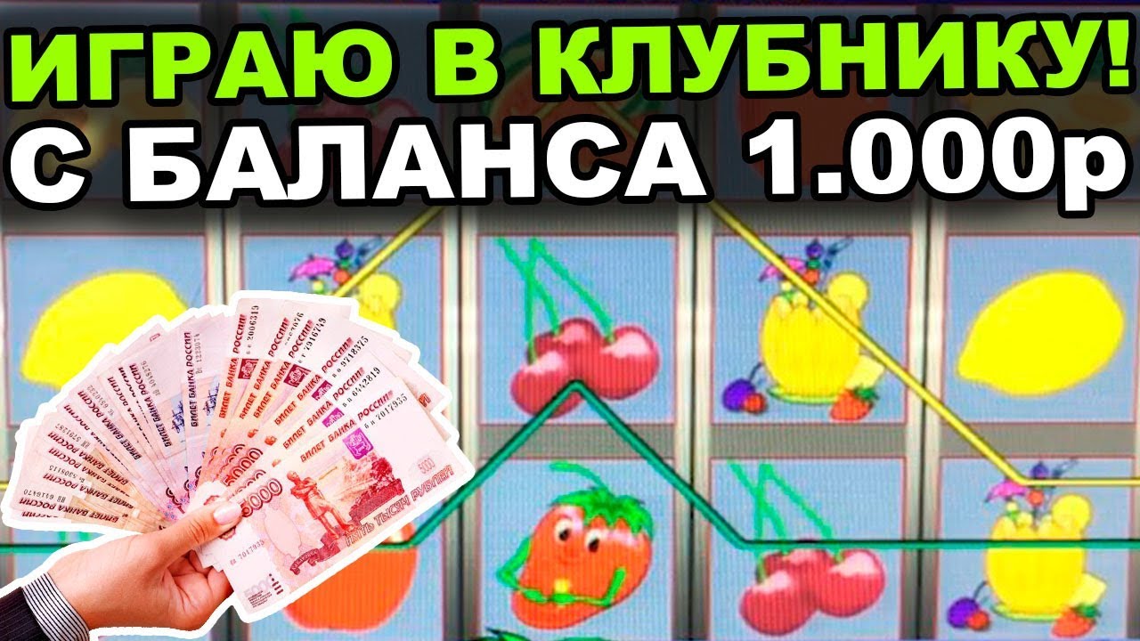 Клубника сорт Лорд - описание, посадка, уход, отзывы